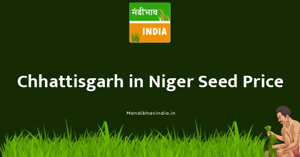 Niger Seed भाव